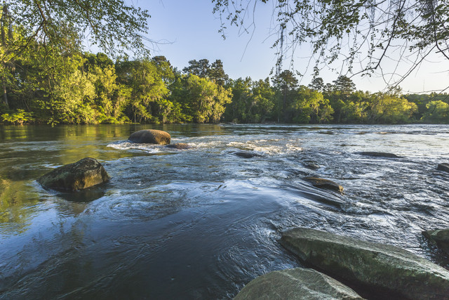 Lower Saluda River